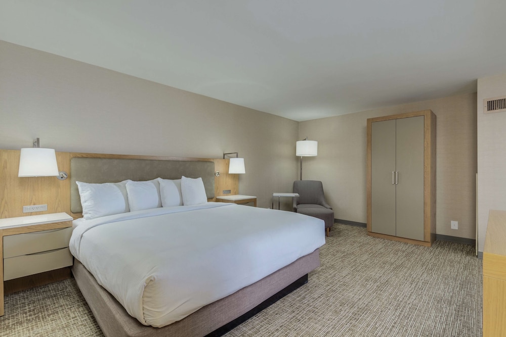 Deluxe Suite, 1 King Bed with Sofa bed