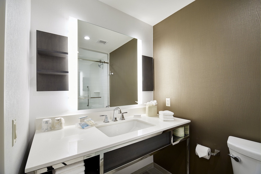 Room, 1 King Bed, Accessible (Roll-In Shower) - Photo 8