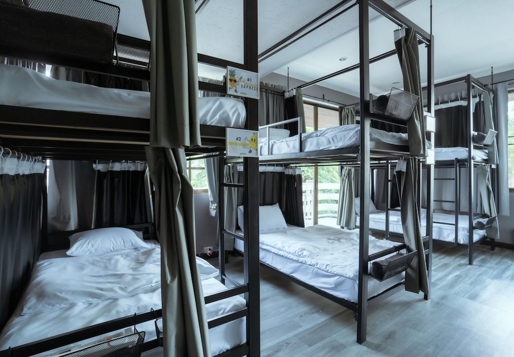 Basic Shared Dormitory photo 1