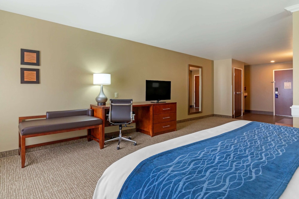 Suite, 1 King Bed with Sofa bed, Non Smoking photo 2