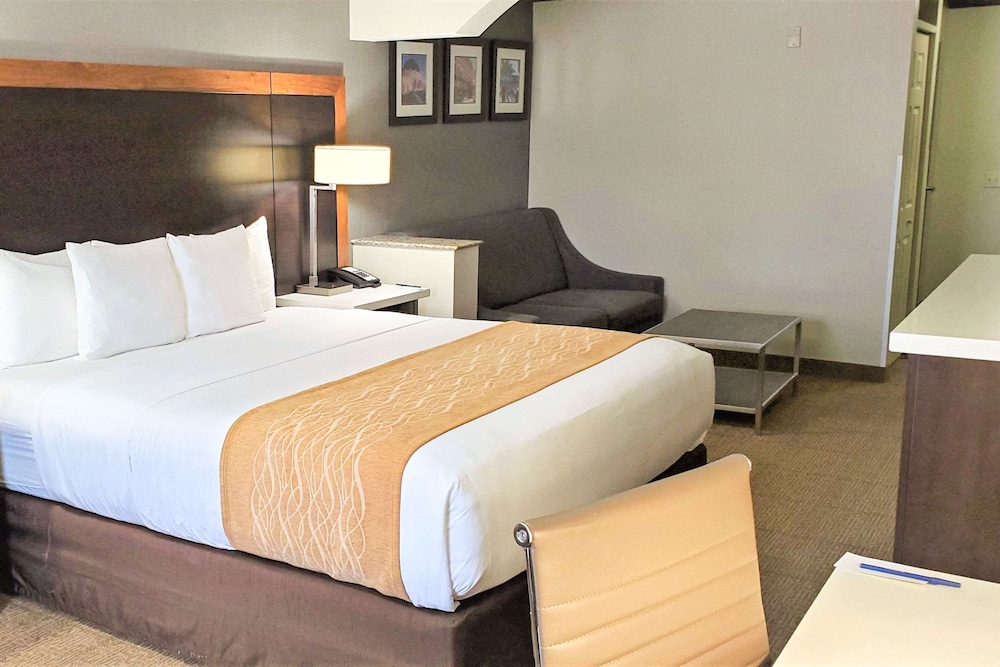 Suite, 1 King Bed with Sofa bed, Non Smoking thumbnail 5