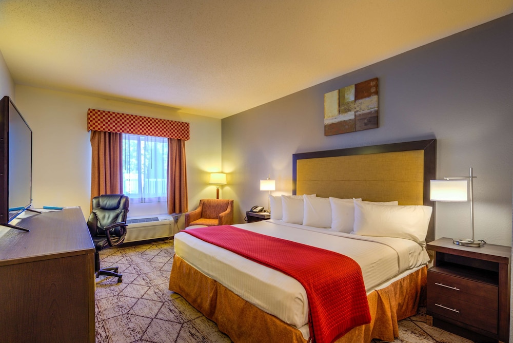 Standard Room, 1 King Bed, Accessible, Refrigerator & Microwave (Refrigerator & Microwave) photo 1