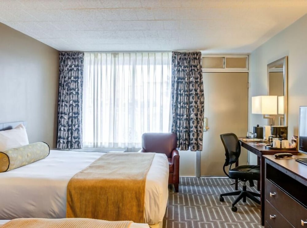 Lodge, 2 Queen Beds