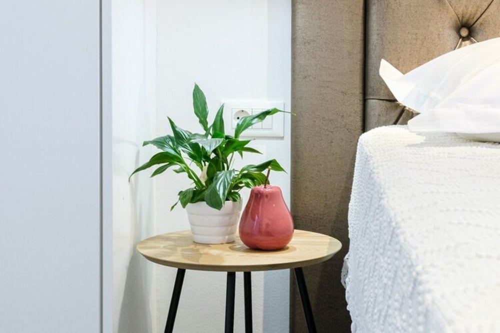 Villa photo 1
