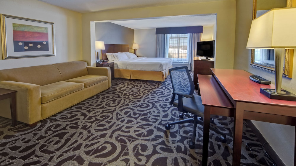 Suite, 1 King Bed photo 3
