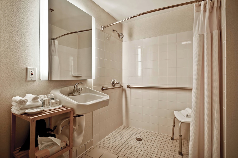 Studio, 1 King Bed with Sofa bed (Mobility Accessible, Roll-In Shower)