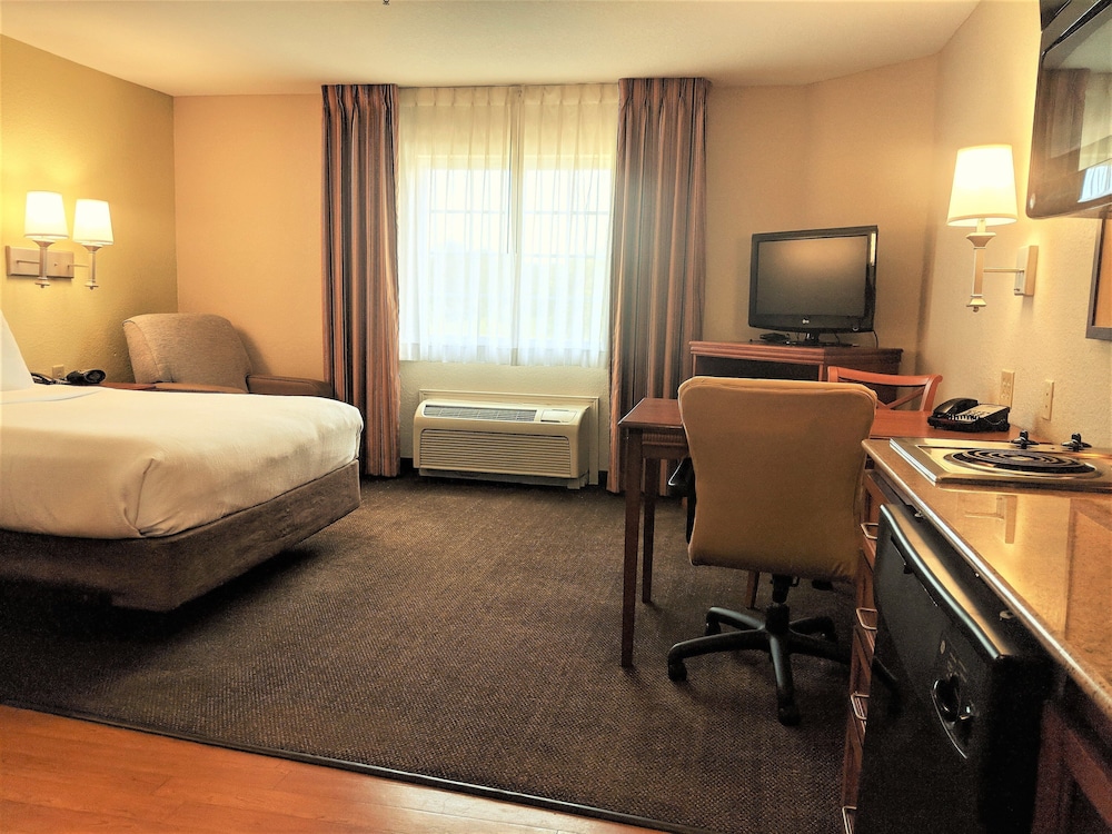 Studio Suite, 1 Queen Bed - Photo 1