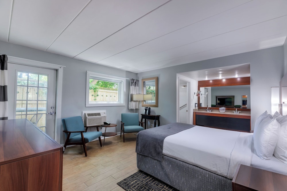 Standard Single Room, 1 King Bed photo 2