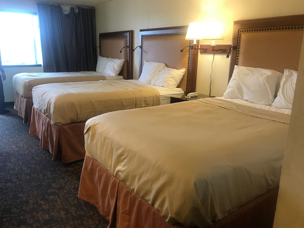 Room, Multiple Beds photo 3