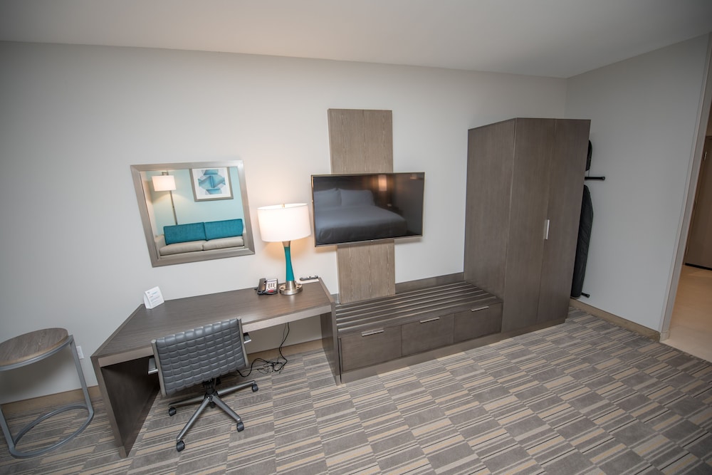 Holiday Inn Express & Suites - Lake Charles South Casino Area by IHG, Φωτογραφία 3