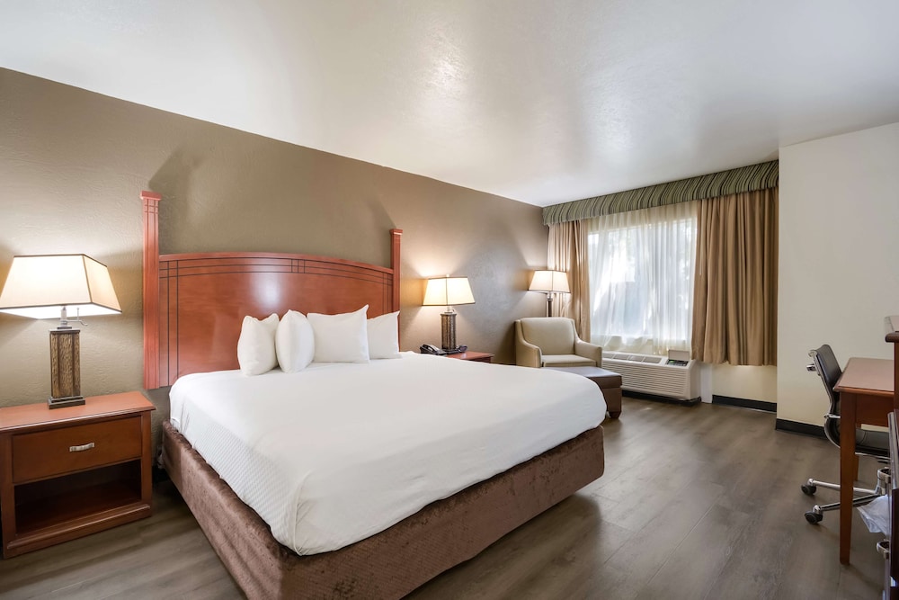 Suite, 1 King Bed, Non Smoking photo 1
