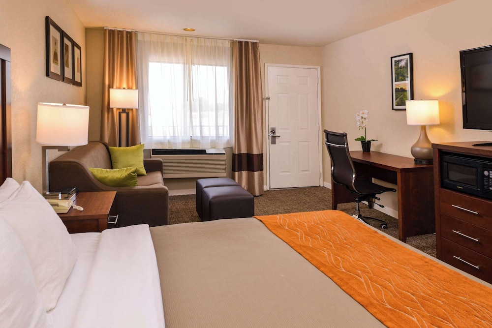 Room, 1 King Bed, Non Smoking photo 1