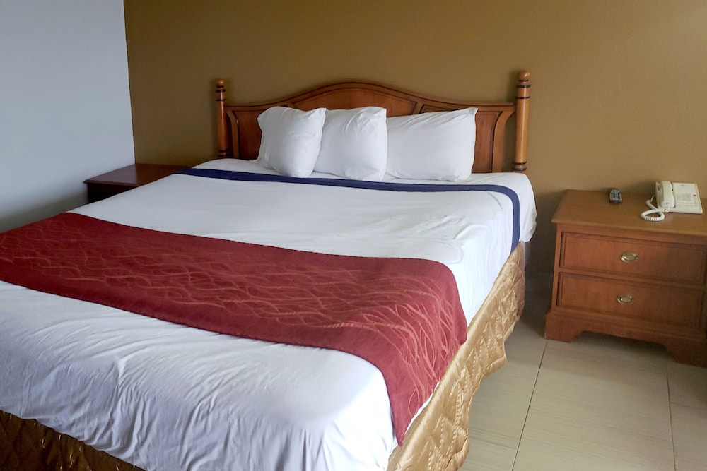 Room, 1 King Bed