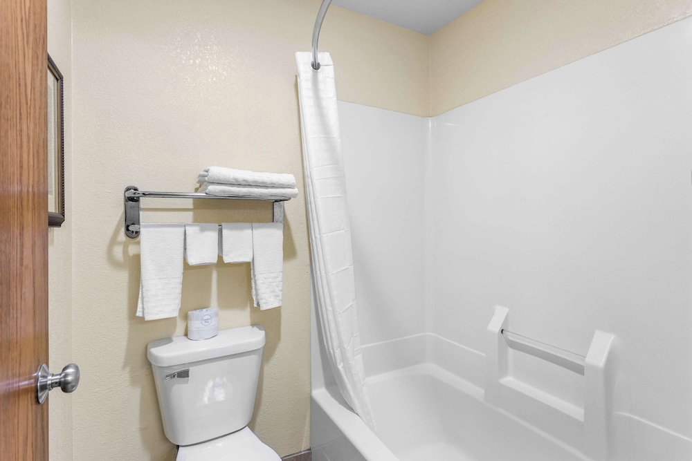 Standard Room, 1 King Bed, Non Smoking, Refrigerator & Microwave (with Sofabed) - Photo 4