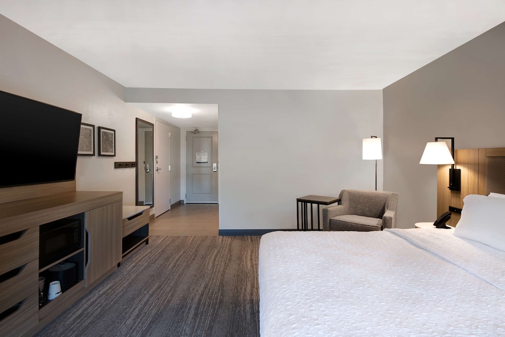 Room, 1 King Bed, Accessible - Photo 13