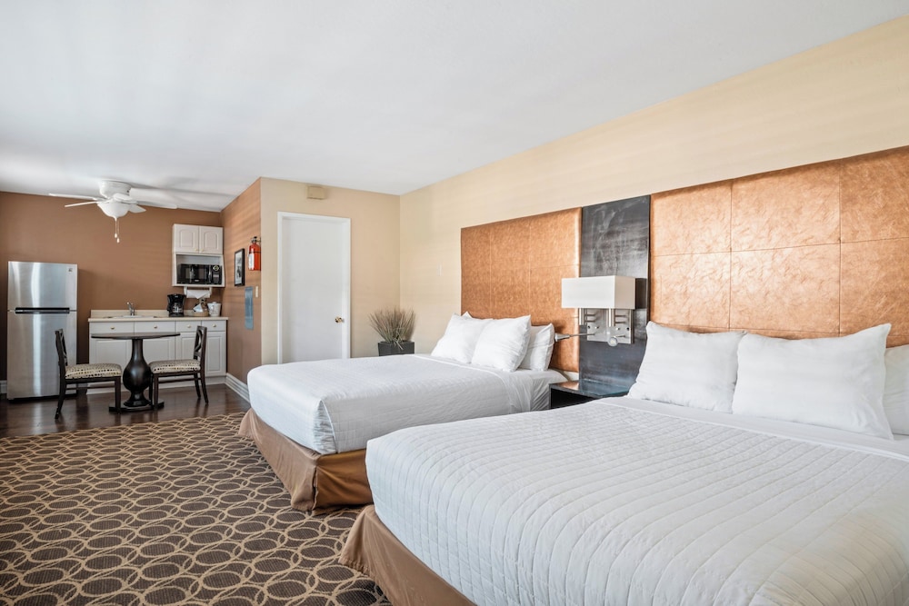 Studio Suite, 2 Queen Beds - Photo 4