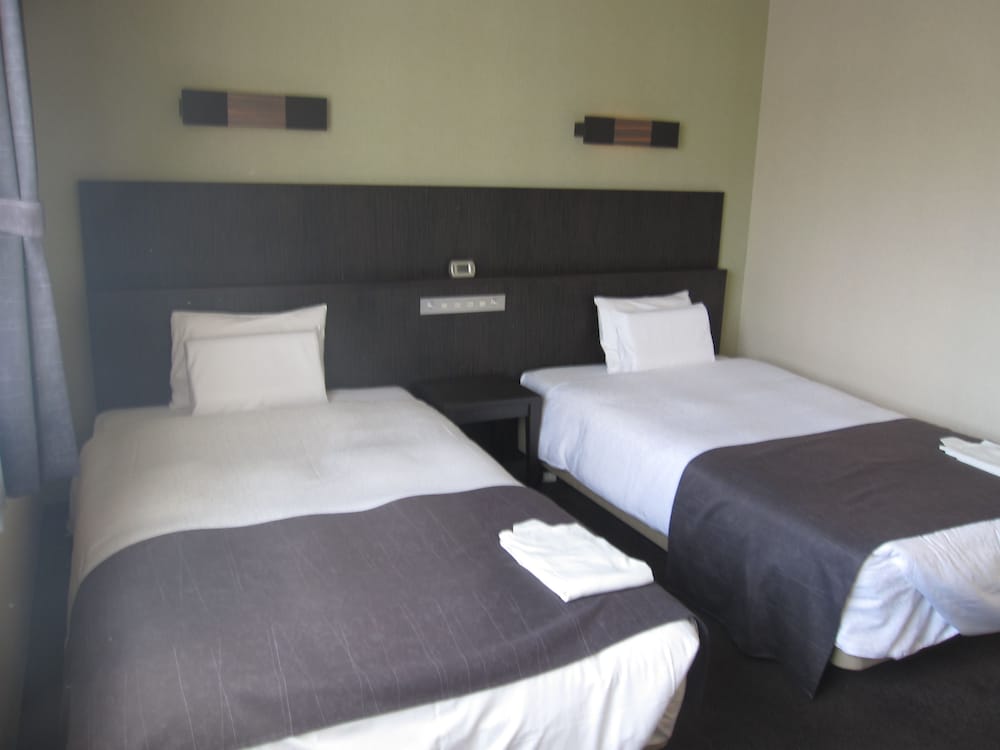 Business Twin Room, 2 Twin Beds, Smoking photo 3