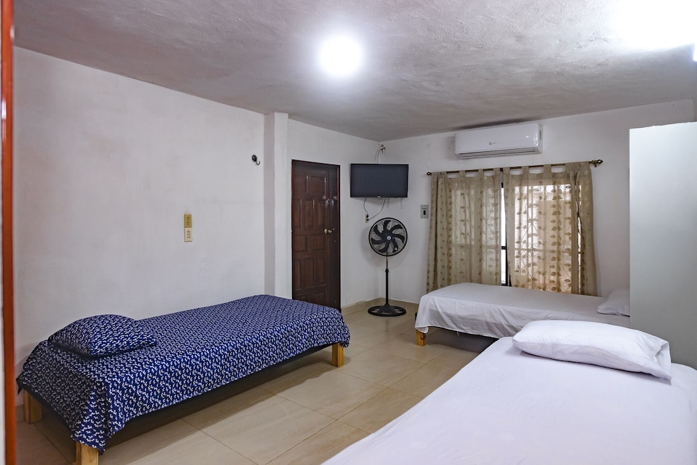 Shared Dormitory photo 1