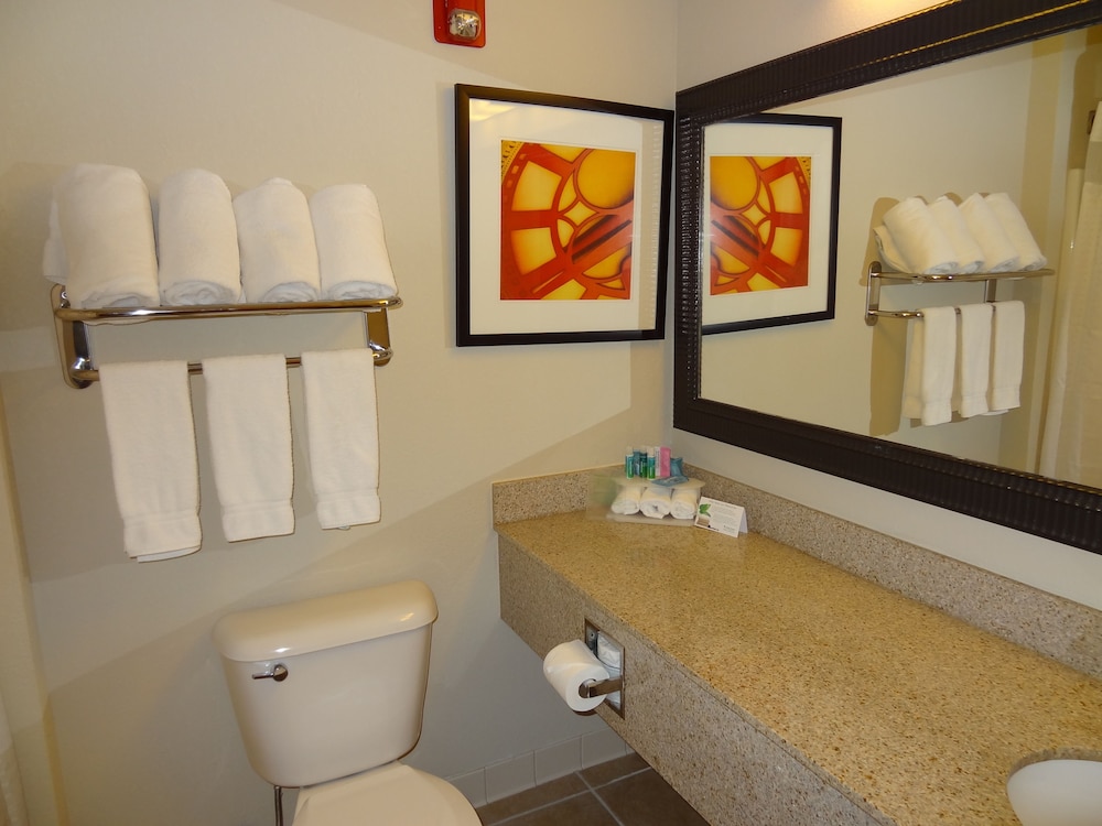 Suite, 1 Bedroom - Photo 4