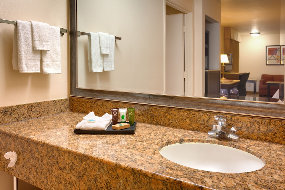 Suite, 1 Bedroom - Photo 7