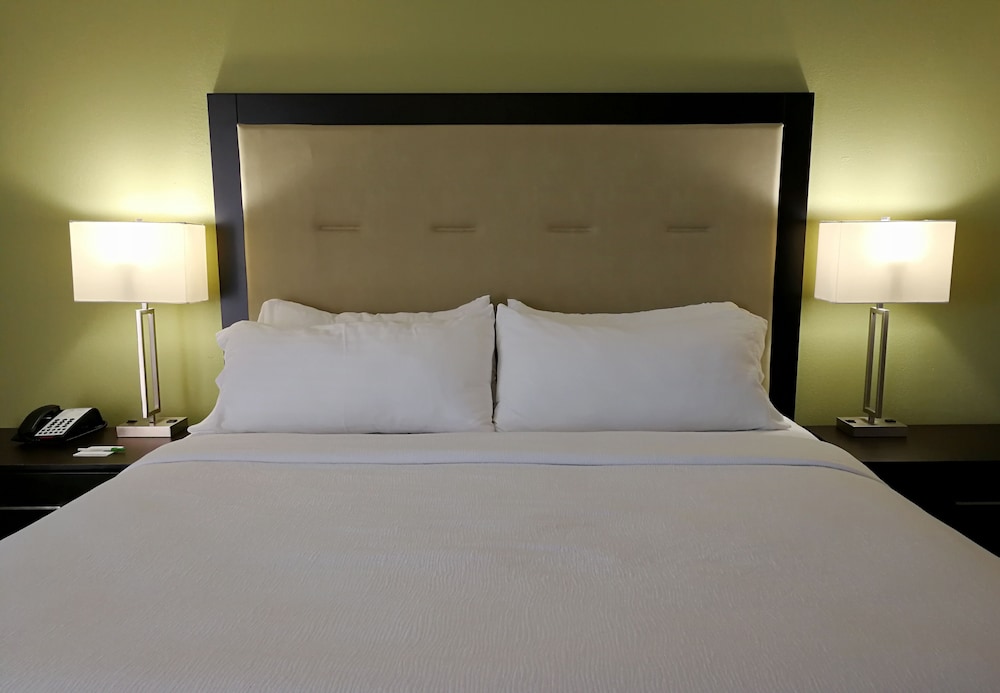 Suite, 1 King Bed, Bay View (High Floor) photo 2
