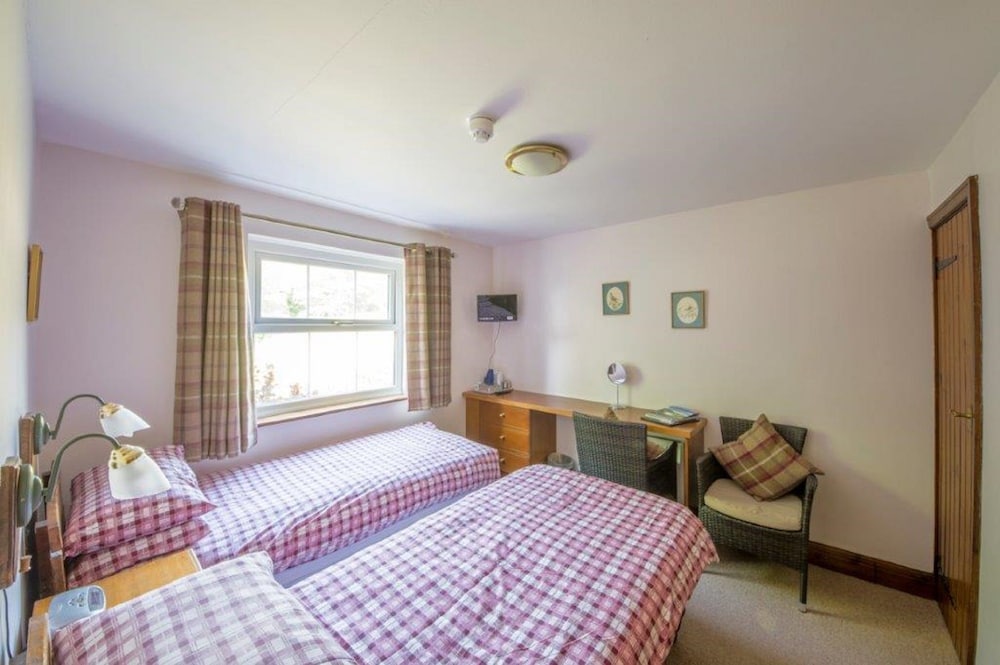 Twin Room photo 3