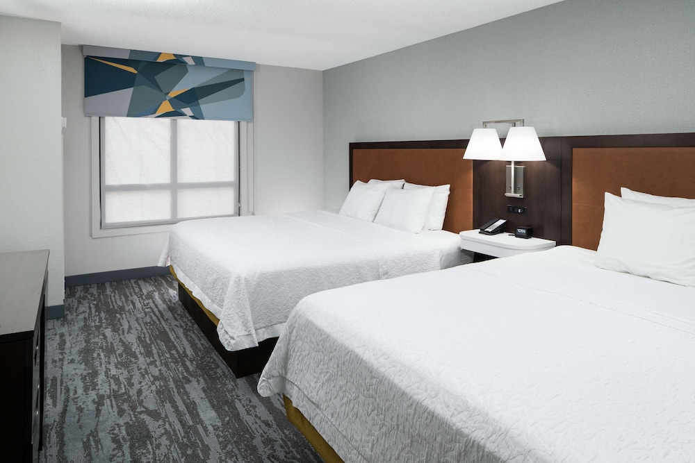 Suite, Kitchen (2 King Beds & 1 Sofabed) - Photo 2
