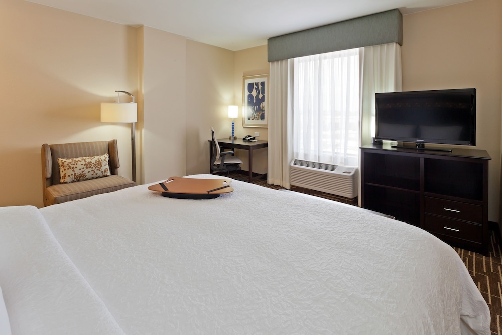 Room, 1 King Bed, Accessible, Non Smoking photo 2