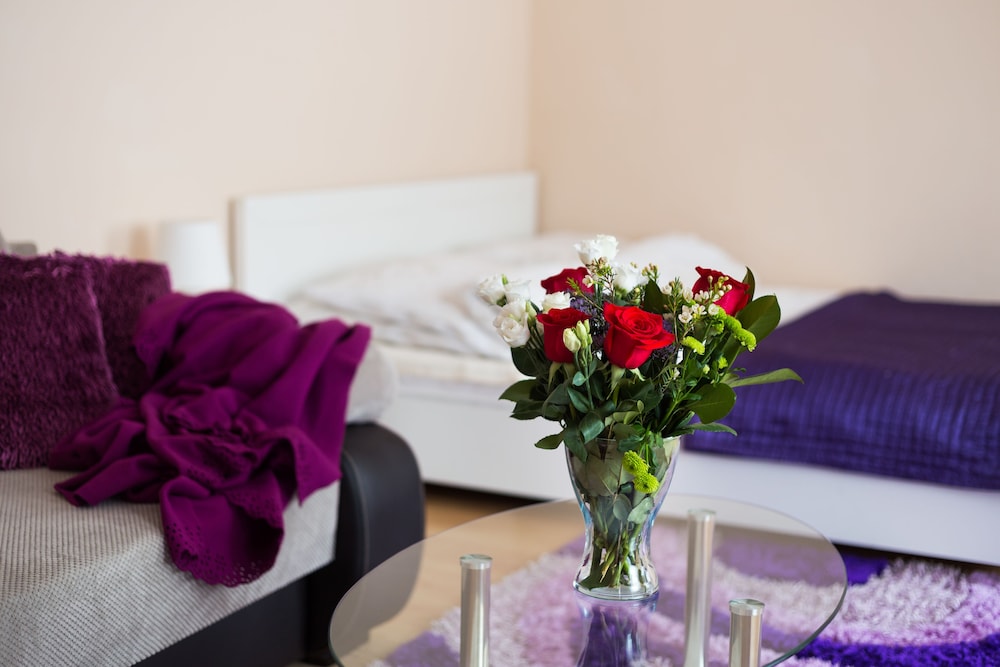 Comfort Apartment photo 1