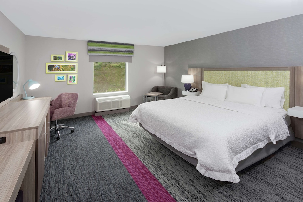 Room, 1 King Bed, Accessible, Bathtub
