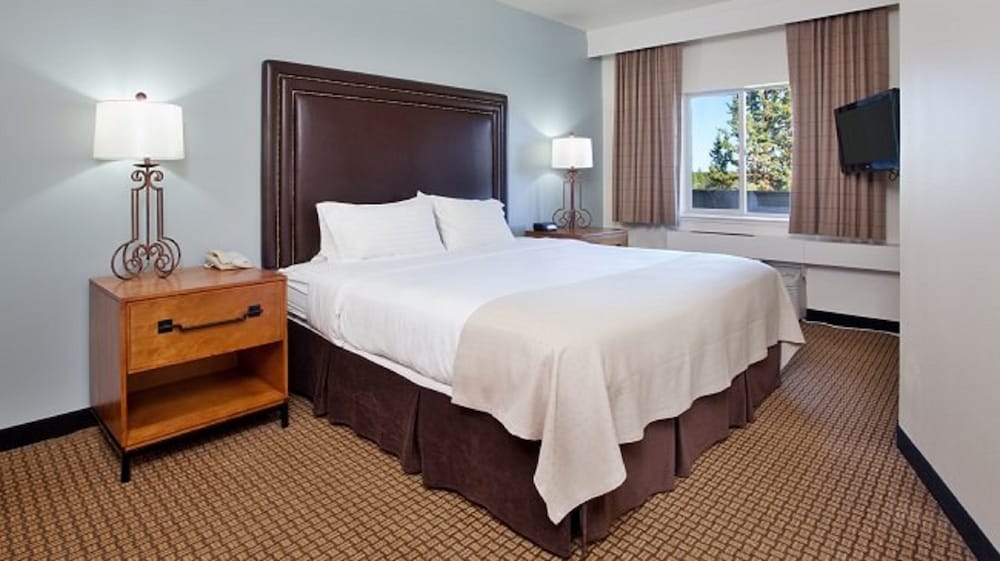 Suite, 1 Bedroom (King) - Photo 2