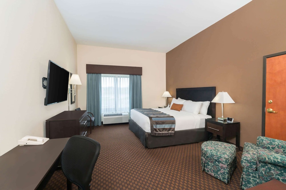 Suite, 1 King Bed, Refrigerator photo 3