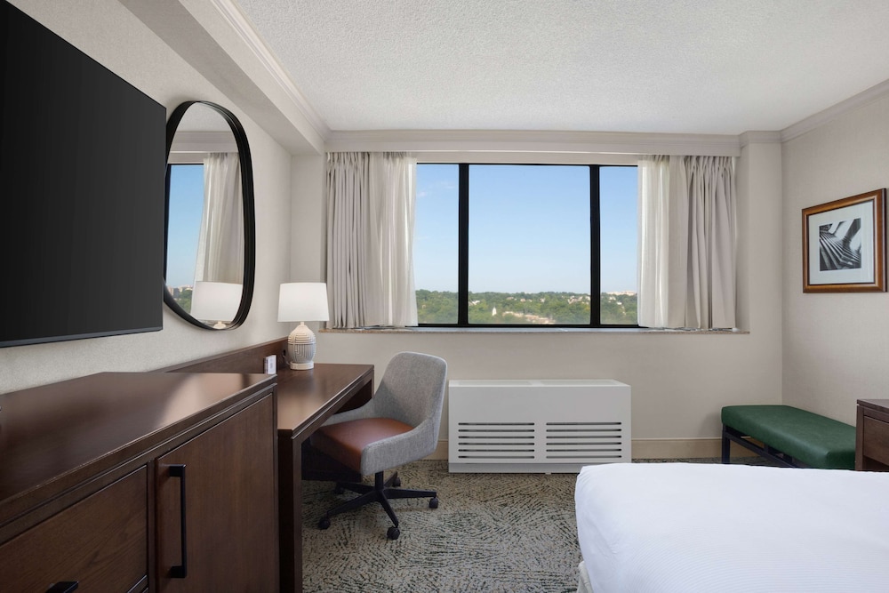 Suite photo 3