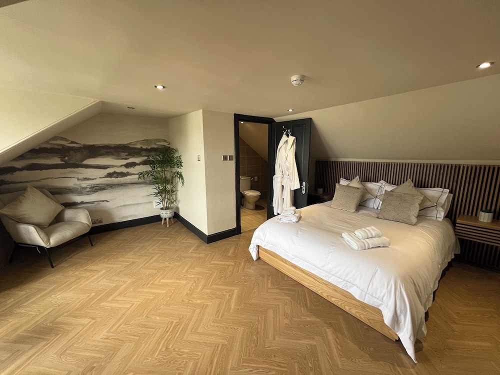 Deluxe Studio, 1 King Bed with Sofa bed, Mountain View