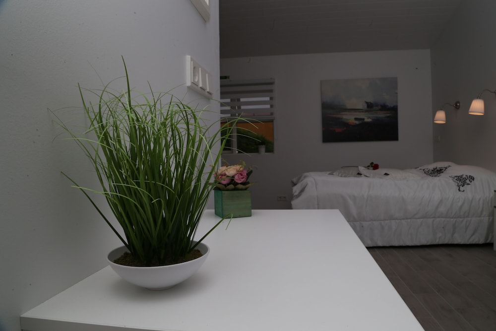 Studio, 1 Queen Bed with Sofa bed photo 3