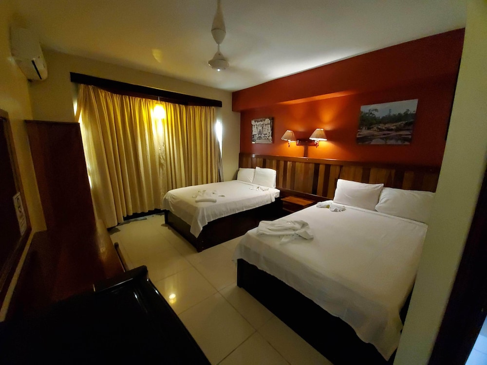 Premium Double Room, 2 Double Beds photo 3