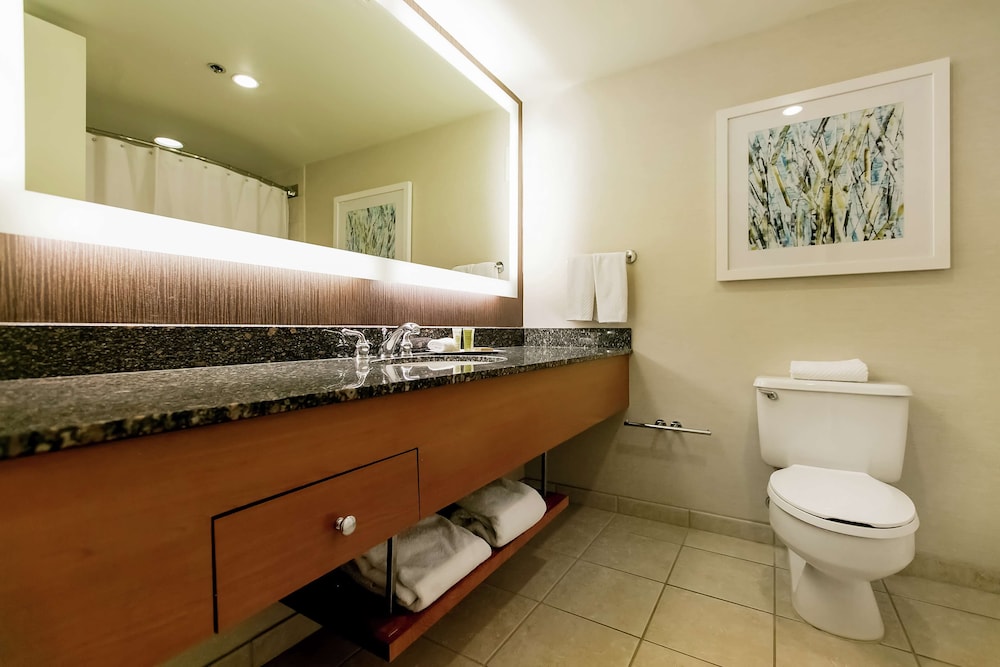 Signature Room, 1 King Bed, Accessible, Bathtub photo 2