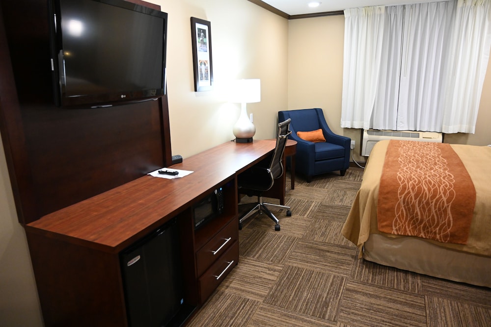 Premium Room King Mini Suites photo 3