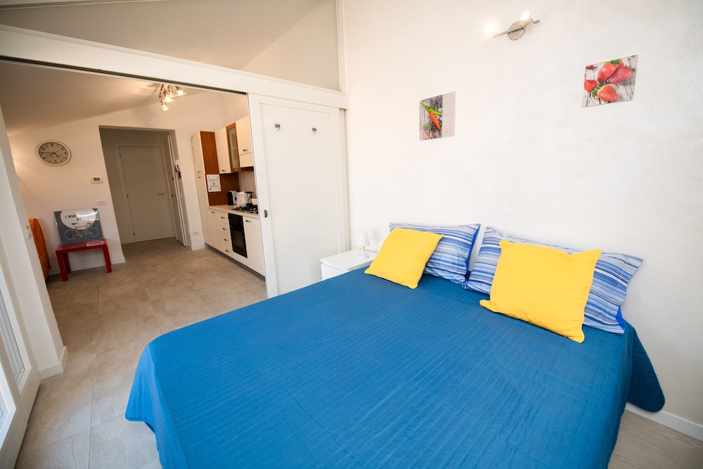 Basic Apartment