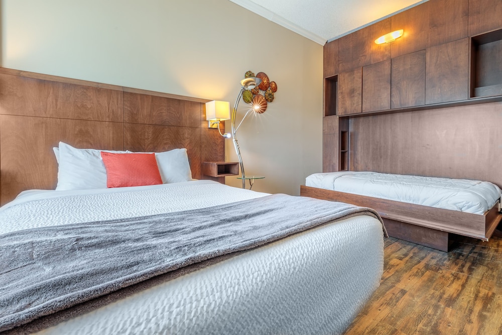 Room, Multiple Beds, Non Smoking - Photo 5