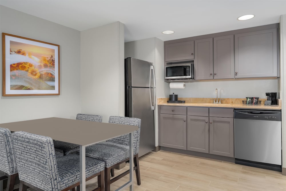 Premium Suite, 1 King Bed, Non Smoking, Kitchen photo 3