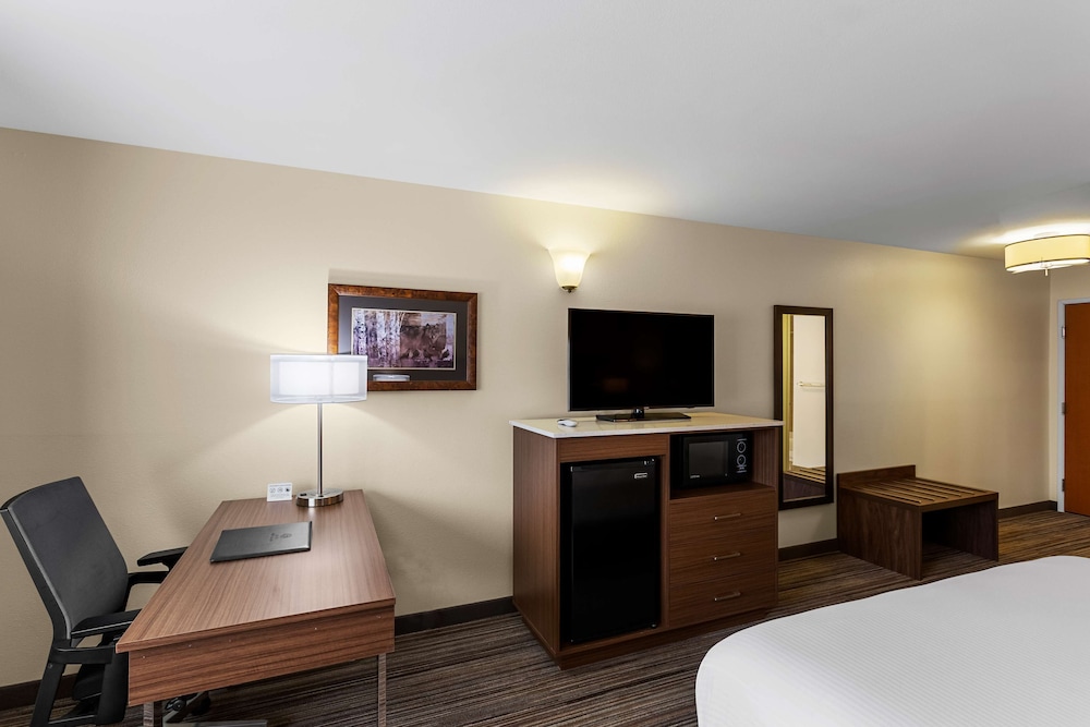Standard Room, 1 King Bed, Non Smoking (Pet Friendly) photo 1