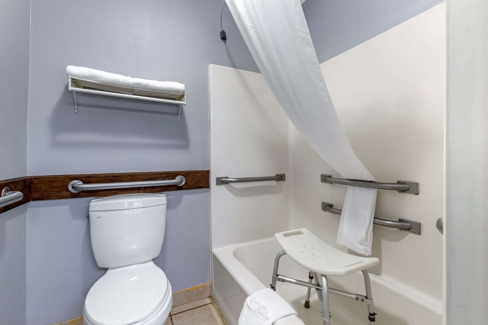 Room, 1 King Bed, Accessible, Non Smoking photo 3