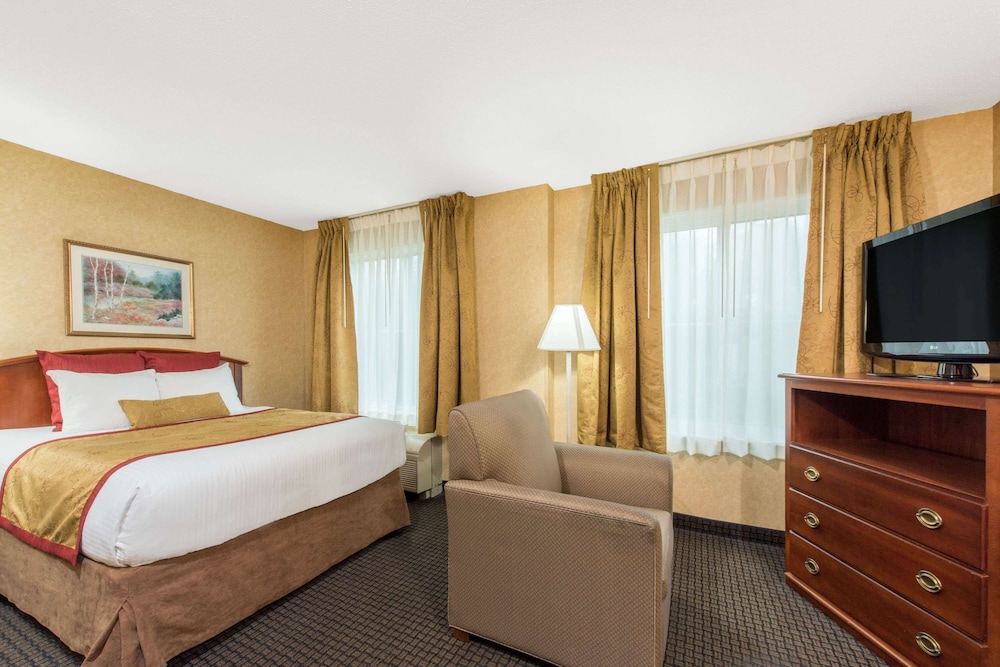 Studio Suite, 1 King Bed, Non Smoking photo 1