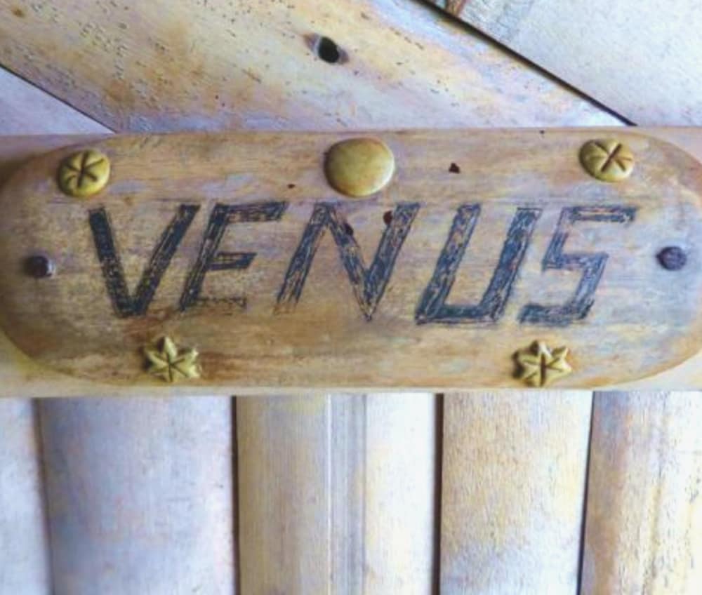Venus photo 3
