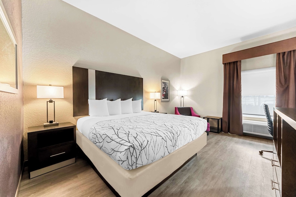 Standard Room, 1 King Bed, Non Smoking, Refrigerator & Microwave - Photo 1