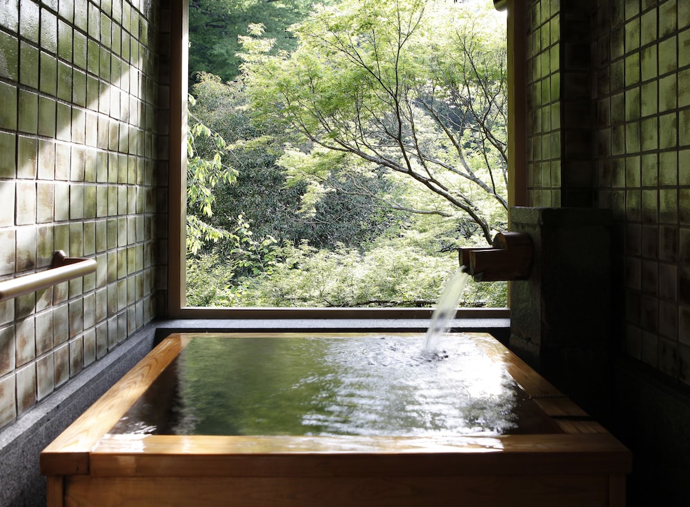 Japanese-Western Room A with Semi Open-Air Onsen (Riverside) photo 3