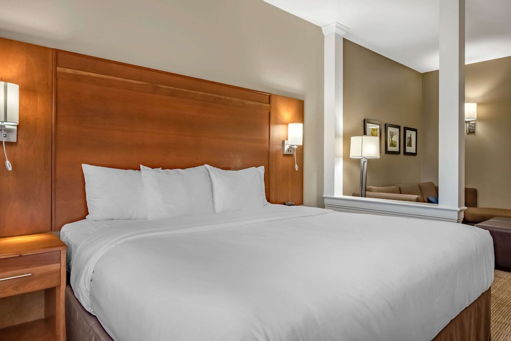 Suite, 1 King Bed - Photo 1