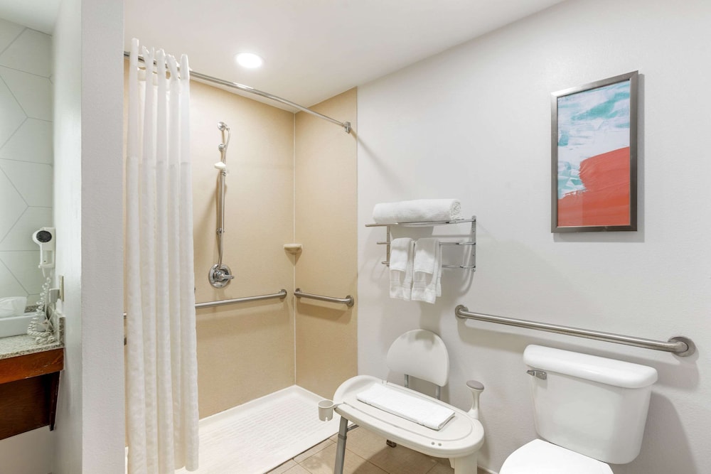 Suite, 1 King Bed with Sofa bed, Accessible, Non Smoking