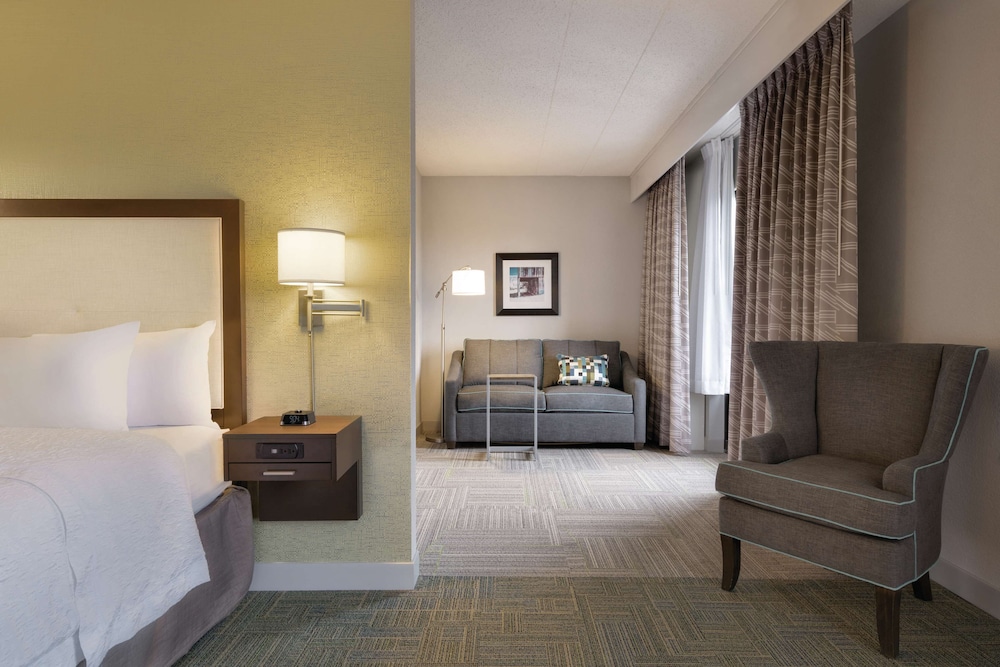 Suite, 1 King Bed, Non Smoking (Mini Suite) - Photo 1